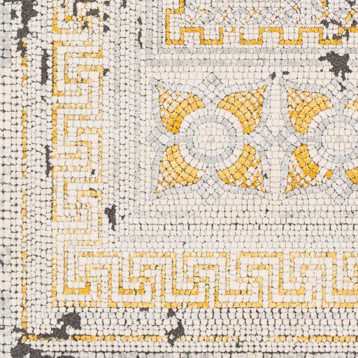 Surya Venezia VNZ-2300 Mustard Global  Rug