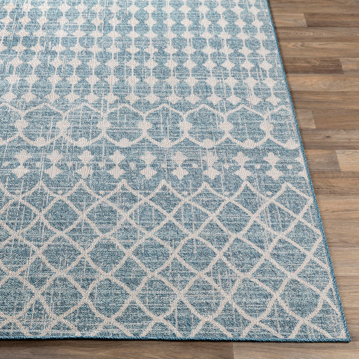 Surya Veranda VRD-2307 Dark Blue Global  Rug