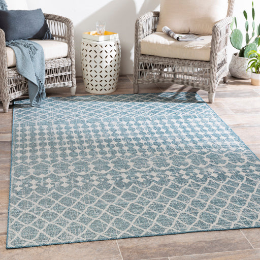 Surya Veranda VRD-2307 Dark Blue Global  Rug