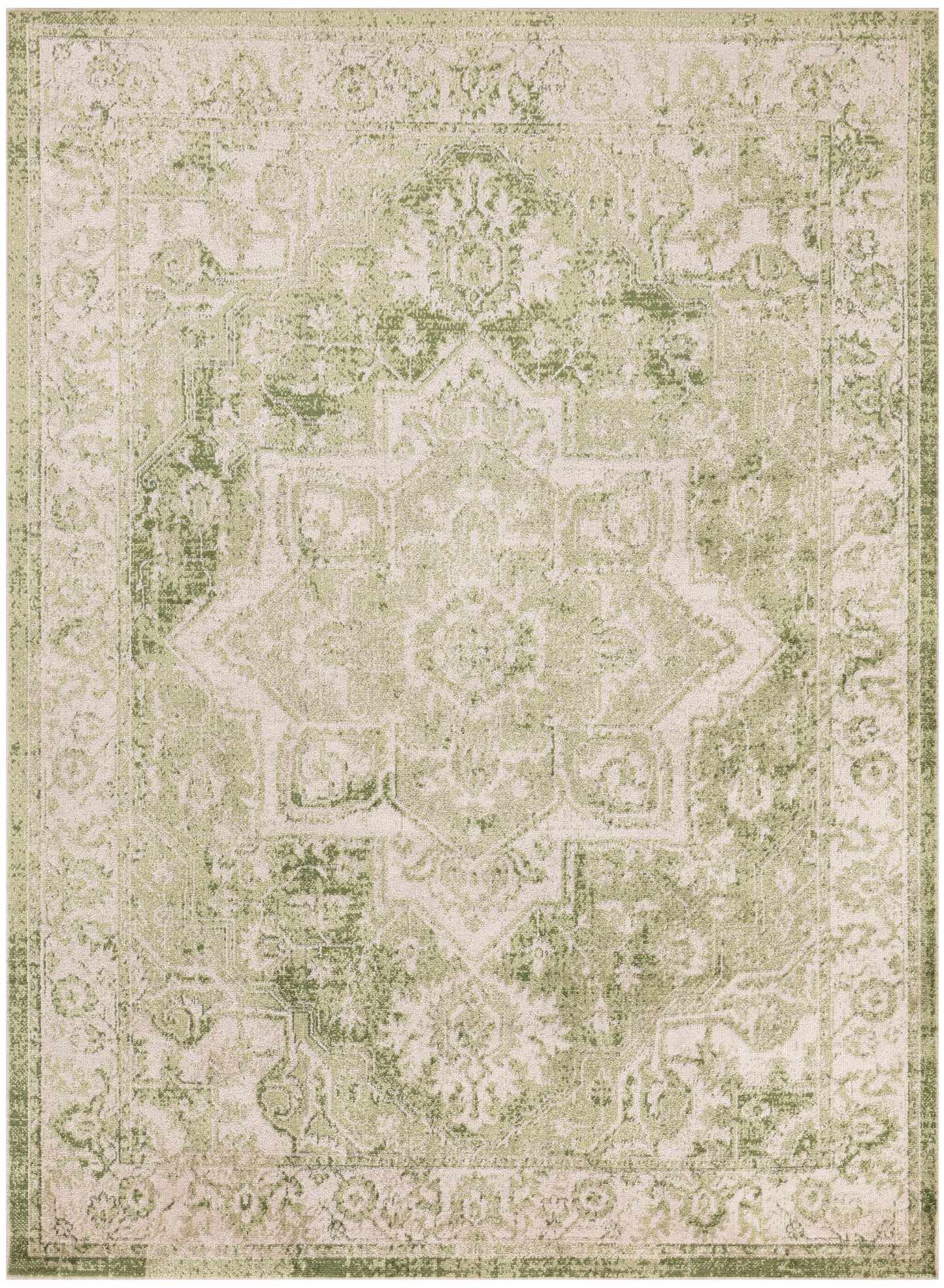 Nourison Home Astra Machine Washable ASW12 Ivory Green Traditional Power-loomed Rug