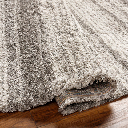 Surya Wilder WDR-2000 Gray Modern  Rug