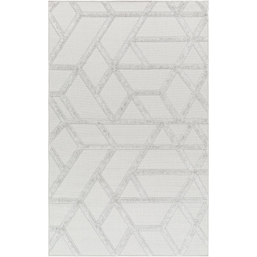 Surya West Palm WPM-2305 Gray Modern  Rug
