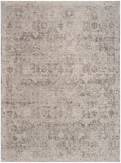 DKNY Pure Shades SAD01 Grey Traditional Machine Made Rug
