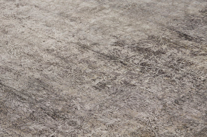 Feizy Sarrant  Stone  Transitional/Bohemian & Eclectic/Casual