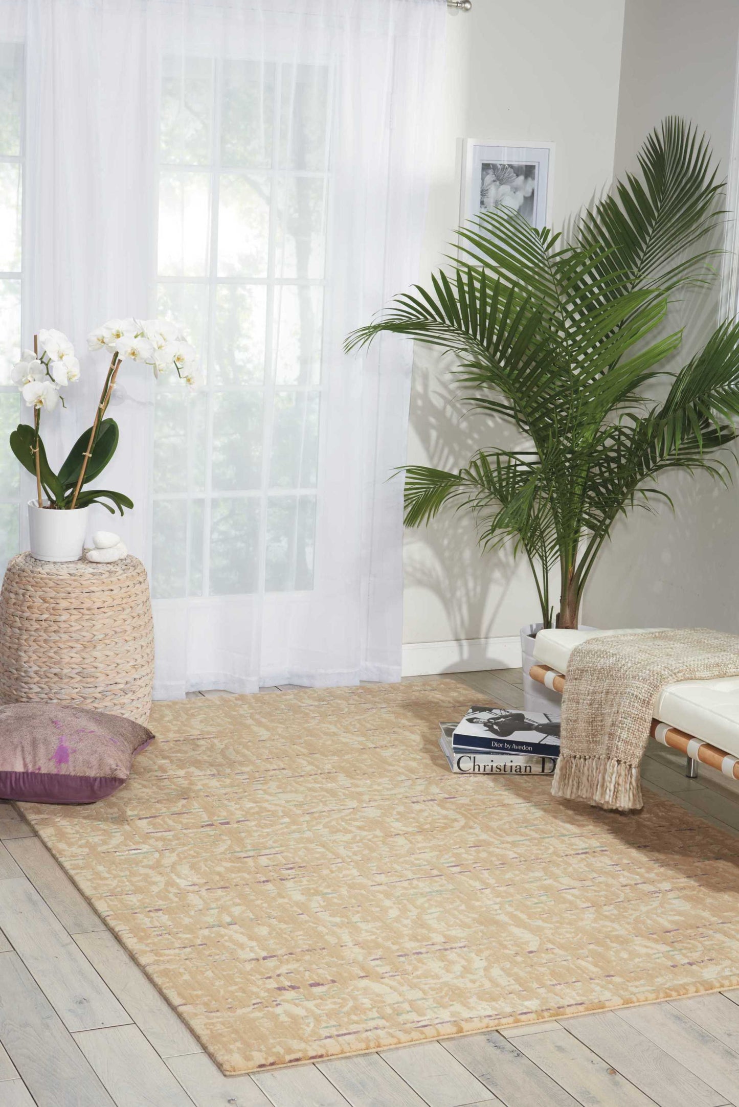 Nourison Home Nepal  Sand  Transitional