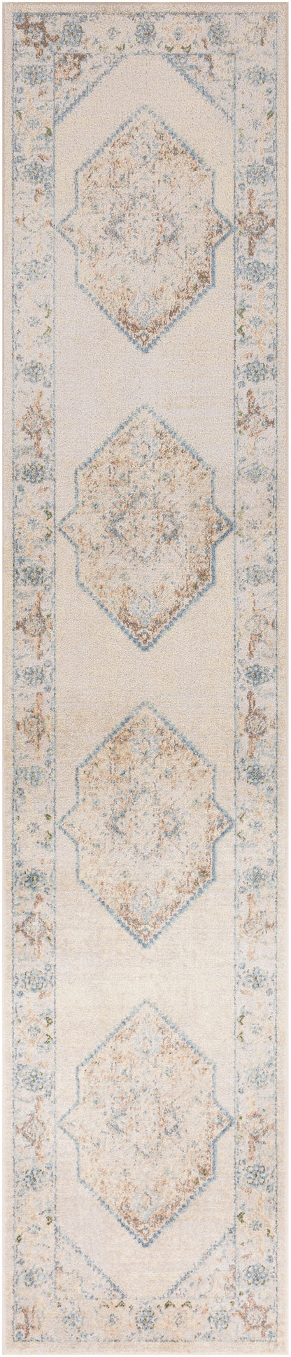 Nourison Home Astra Machine Washable ASW13 Ivory Blue Traditional Power-loomed Rug