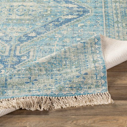 Surya Zainab ZAI - 2304 Aqua Traditional Rug - Rugs - Surya - Atlanta Designer Rugs