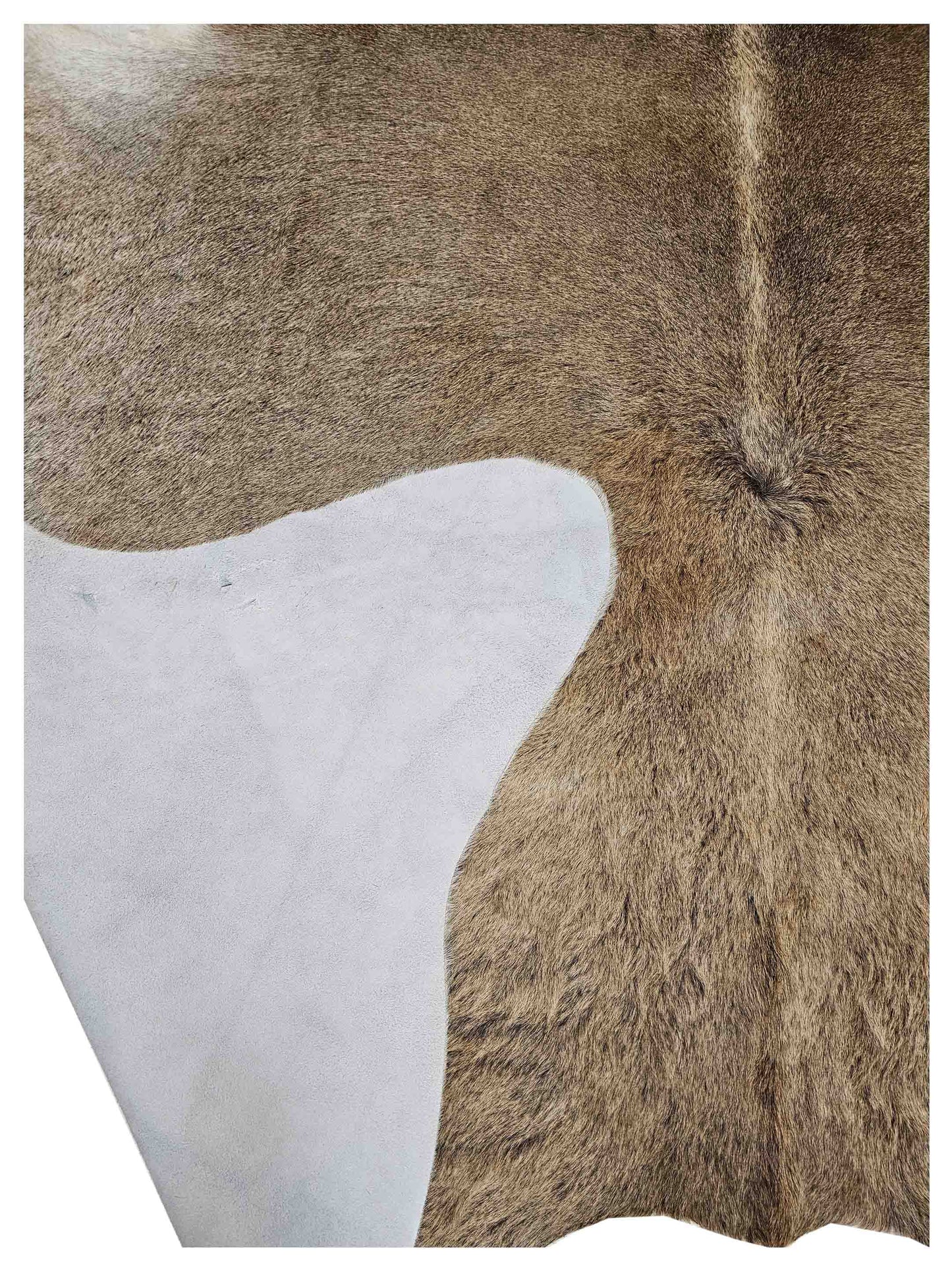 Artisan Claire  Champagne  Hair on Hide Crafted Rug