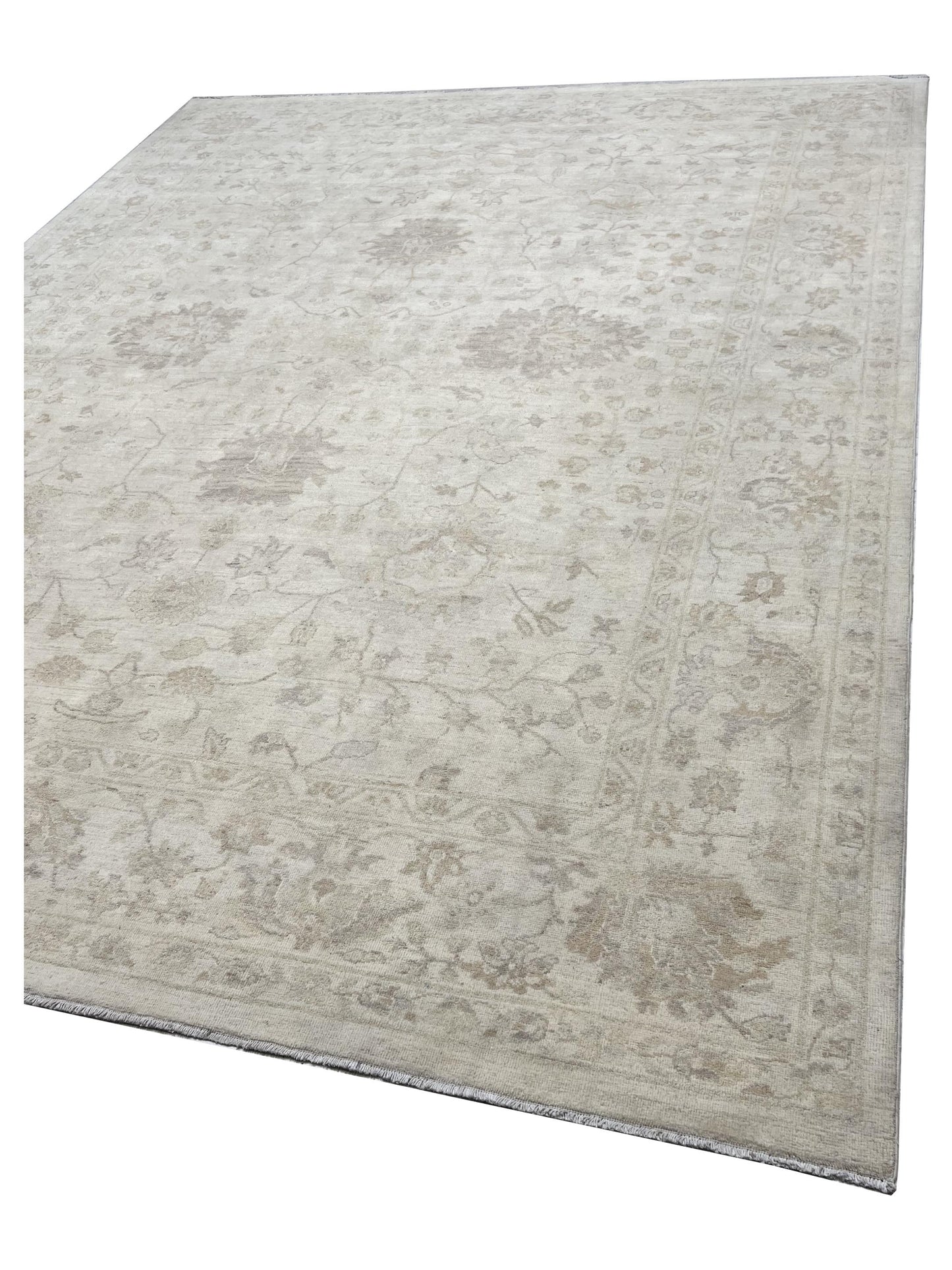 Artisan Patricia  Beige Beige Traditional Knotted Rug