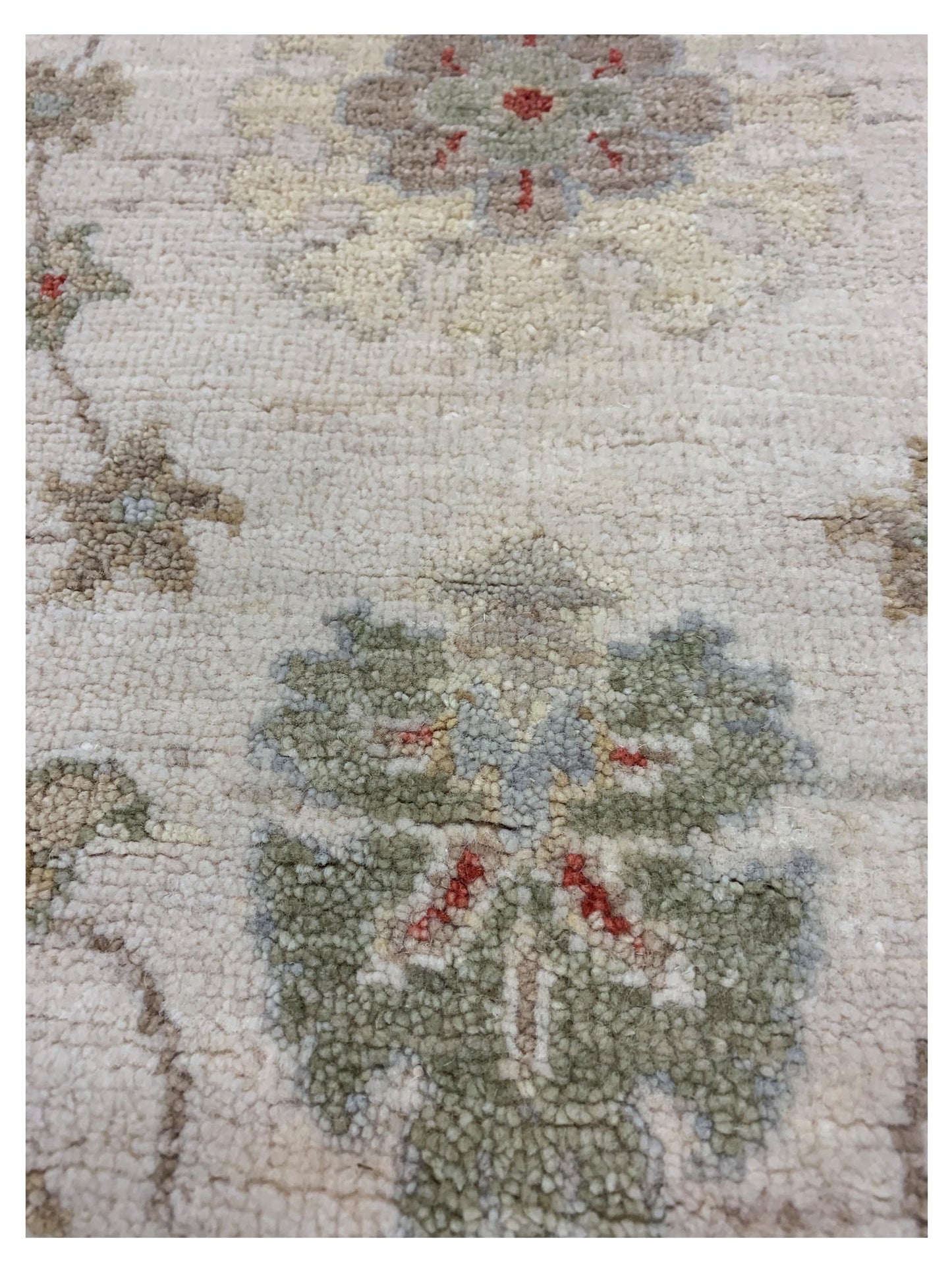 Artisan Patricia  Beige  Traditional Knotted Rug